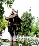 Bài giảng Cơ sở văn hoá Việt Nam