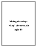Những thảo dược "vàng" cho sức khỏe ngày hè