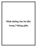 Dinh dưỡng cho ba bầu trong 3 tháng giữa