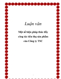 Luận văn: Một số biện pháp thúc đẩy công tác tiêu thụ sản phẩm của Công ty TSC