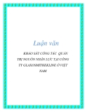 Luận văn: KHẢO SÁT CÔNG TÁC QUẢN TRỊ NGUỒN NHÂN LỰC TẠI CÔNG TY GLAXOSMITHEKLINE Ở VIỆT NAM