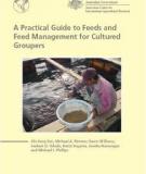 A Practical Guide to Feeds and Feed Management for Cultured Groupers