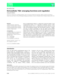 báo cáo khoa hoc : Extracellular TG2: emerging functions and regulation