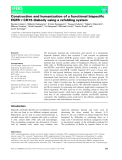 báo cáo khoa hoc : Construction and humanization of a functional bispeciﬁc EGFR · CD16 diabody using a refolding system