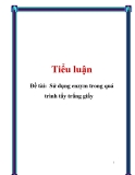 Đề tài:  Sử dụng enzym trong quá trình tẩy trắng giấy