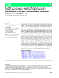 Báo cáo khoa hoc : Leu138 in bovine prion peptide ﬁbrils is involved in seeding discrimination related to codon 129 M ⁄ V polymorphism in the prion peptide seeding experiment