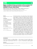 Báo cáo khoa hoc : Matrix metalloproteinase proteolysis of the mycobacterial HSP65 protein as a potential source of immunogenic peptides in human tuberculosis