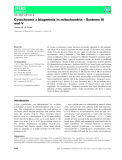 Báo cáo khoa hoc : Cytochrome c biogenesis in mitochondria – Systems III and V