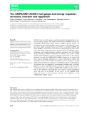 Báo cáo khoa hoc :The AMPK⁄SNF1⁄SnRK1 fuel gauge and energy regulator: structure, function and regulation