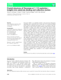 Báo cáo khoa hoc :  Crystal structure of Onconase at 1.1 A resolution – insights into substrate binding and collective motion