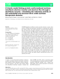Báo cáo khoa hoc : A kinetic model linking protein conformational motions, interﬂavin electron transfer and electron ﬂux through a dual-ﬂavin enzyme – simulating the reductase activity of the endothelial and neuronal nitric oxide synthase ﬂavoprotein domains