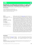 Báo cáo khoa hoc : Identiﬁcation of antibacterial mechanism of L-amino acid oxidase derived from Trichoderma harzianum ETS 323