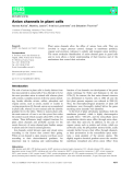 Báo cáo khoa hoc : Anion channels in plant cells