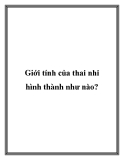 Giới tính của thai nhi hình thành như nào?