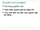 Bài giảng Ngành luật lao động