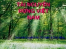 Tài nguyên rừng ở Việt Nam