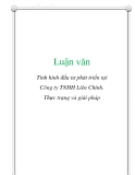  Luận văn: Tình hình đầu tư phát triển tại Công ty TNHH Liên Chính. Thực trạng và giải phá