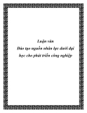 Luận văn tốt nghiệp: Đào tạo nguồn nhân lực dưới đại học cho phát triển công nghiệp