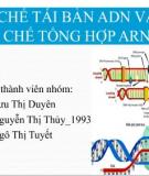 CƠ CHẾ TÁI BẢN ADN VÀ CƠ CHẾ TỔNG HỢP ARN