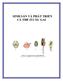 SINH SẢN VÀ PHÁT TRIỂN CÁ THỂ Ở CẦU GAI