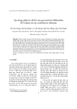 Báo cáo " Tạo dòng phân tử cDNA của gen mã hóa Gibberellin 20-oxidase từ cây arabidopsis thaliana "