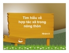 Tìm hiểu về hợp tác xã trong nông thôn