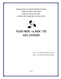 LUẬN VĂN:NẤM MỐC VÀ ĐỘC TỐ AFLATOXIN