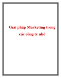 Giải pháp Marketing trong các công ty nhỏ