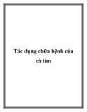 Tác dụng chữa bệnh của cà tím