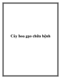 Cây hoa gạo chữa bệnh