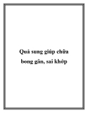 Quả sung giúp chữa bong gân, sai khớp