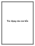 Tác dụng của con hến