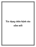 Tác dụng chữa bệnh của nấm mối