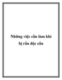 Những việc cần làm khi bị rắn độc cắn