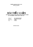 BÀI TIỂU LUẬN: ĐIỀU KIỆN VÀ KHẢ NĂNG HUY ĐỘNG VỐN CỦA DOANH NGHIỆP QUA THỊ TRƯỜNG CHỨNG KHOÁN VIỆT NAM