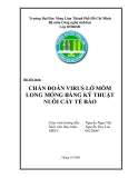 TIỂU LUẬN: CHẨN ĐOÁN VIRUS LỞ MỒM LONG MÓNG BẰNG KỸ THUẬT NUÔI CẤY TẾ BÀO