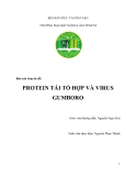 TIỂU LUẬN: PROTEIN TÁI TỔ HỢP VÀ VIRUS GUMBORO