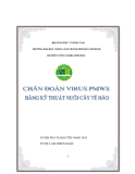 Tiểu luận:Chuẩn đoán virus PMWS bằng kỹ thuật nuôi cấy tế bào