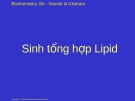 Sinh tổng hợp Lipid