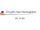 Chuyển hóa Hemoglobin