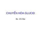 Bài giảng: CHUYỂN HÓA GLUCID