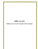 Tiểu luận đề tài: Thành tựu của văn hóa Trung Hoa thời kỳ trung đại