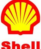 Shell – Giản dị mà tinh tế