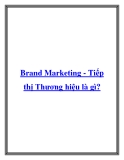 Brand Marketing - Tiếp thị Thương hiệu là gì