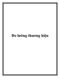 Đo lường thương hiệu