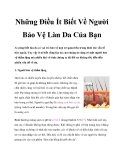 Những Điều Ít Biết Về Người Bảo Vệ Làn Da Của Bạn