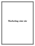 Marketing cảm xúc.Tại sao tiếp thị nhằm vào cảm xúc lại trở thành xu hướng