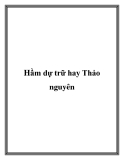 Hầm dự trữ hay Thảo nguyên