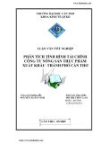 ĐỀ TÀI " PHÂN TÍCH TÌNH HÌNH TÀI CHÍNH CÔNG TY NÔNG SẢN THỰC PHẨM XUẤT KHẨU THÀNH PHỐ CẦN THƠ "