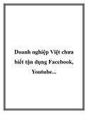 doanh nghiệp việt chưa biết tận dụng fac, youtube....